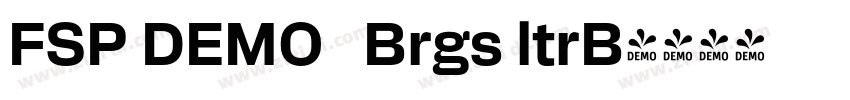 FSP DEMO   Brgs ltrB字体转换